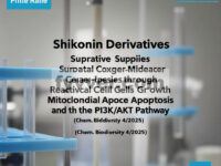 Fitur Sampul: Derivatif Shikonin Menekan Pertumbuhan Sel Kanker Kolorektal melalui Apoptosis Mitokondria yang Dimediasi Spesies Oksigen Reaktif dan Jalur PI3K/AKT (Chem. Biodiversity 4/2025)