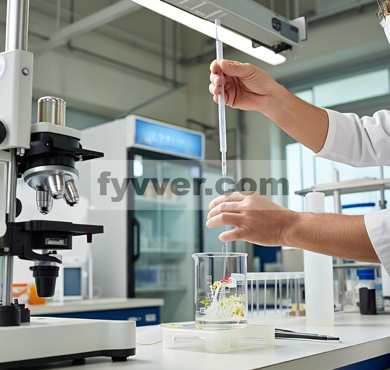 Formulasi dan Optimasi Nanopartikel Selenium (SeNPs) Menggunakan Ekstrak Daun Passiflora edulis: Studi Kinetika Permeasi dan Pelepasan In Vitro