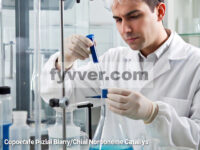 Konstruksi Biaryl Sulfonamida Kiral Aksial dengan Katalisis Kooperatif Paladium/Kiral Norbornena