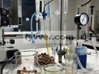 Studi Eksperimental Penangkapan CO2 oleh Arang Kulit Pistachio yang Diaktifkan KOH dan Kompositnya Menggunakan Pendekatan Kemisorpsi