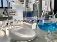 Daur Ulang Katoda Baterai Litium-Sulfur Akhir Masa Pakai untuk Penangkapan CO 2
