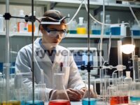 Persiapan Prekursor Ester Asam Dikarboksilat Rantai Panjang Berbasis Bio yang Dikatalisis oleh Cairan Ionik Protik