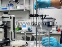 Pengalihan Fotoreversibel yang Dimediasi Solusi Antara Kerangka Organik Terikat Hidrogen 2D dan 3D