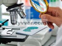 Kedekatan Logam-Asam dan Struktur Pori dalam Katalis Bifungsional: Dampak pada Kinerja Hidroisomerisasi n - C16 dan Distribusi Produk