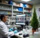 Profil Komputasional dan Molekuler Sifat Antikanker Thuja occidentalis L. Dari Punjab Selatan