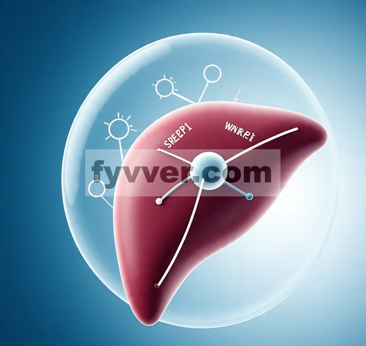 Total Flavonoid Engelhardia roxburghiana Wall. Mengurangi Penyakit Hati Berlemak Nonalkohol dengan Mengatur Metabolisme Lipid dan Peradangan Melalui Penargetan SREBP1 dan PPARα